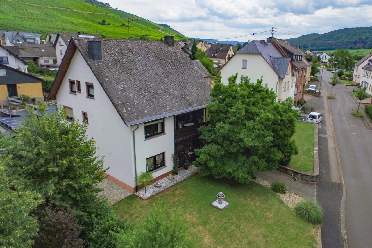 젤틴겐라티그 Moselhaus B&B 외부 사진